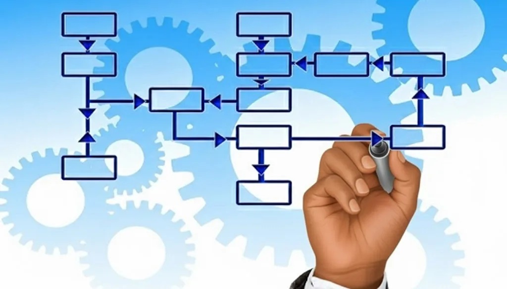 Conseil en management et optimisation des processus
